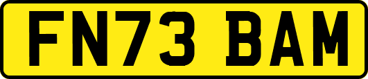 FN73BAM