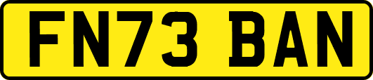 FN73BAN