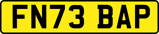 FN73BAP