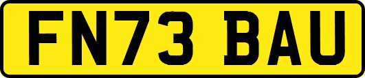 FN73BAU