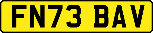 FN73BAV