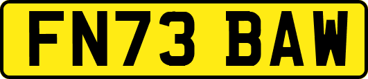 FN73BAW