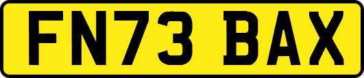 FN73BAX