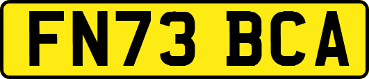 FN73BCA