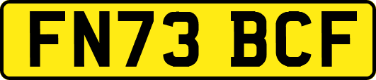 FN73BCF