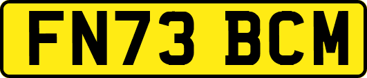 FN73BCM