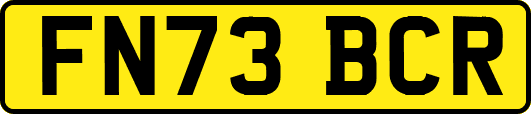 FN73BCR