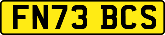 FN73BCS