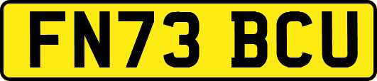 FN73BCU