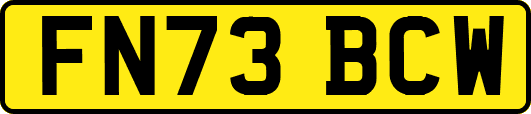 FN73BCW