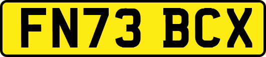 FN73BCX