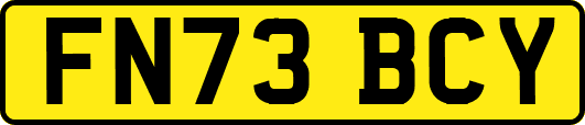 FN73BCY