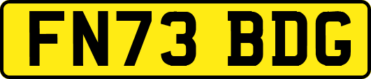 FN73BDG