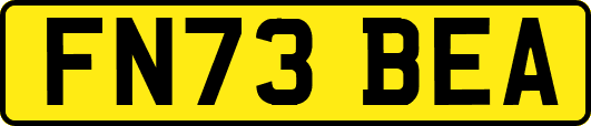 FN73BEA