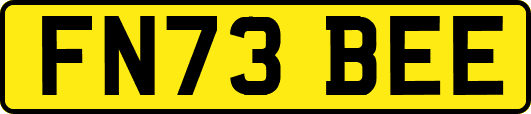 FN73BEE