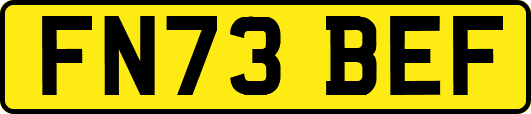 FN73BEF