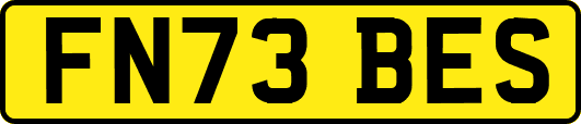 FN73BES
