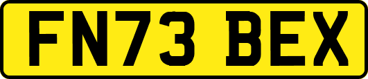 FN73BEX