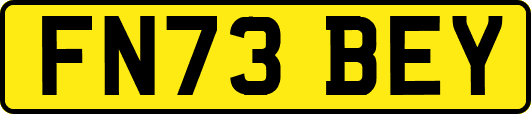 FN73BEY