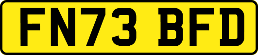 FN73BFD