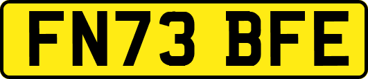 FN73BFE