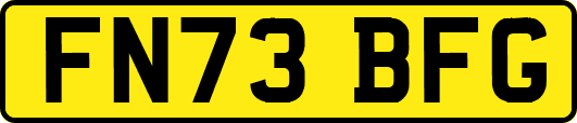 FN73BFG