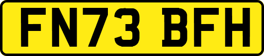 FN73BFH