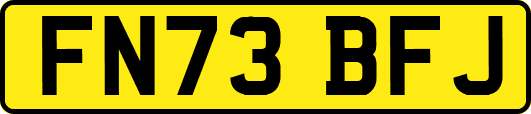 FN73BFJ