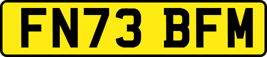 FN73BFM
