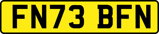 FN73BFN