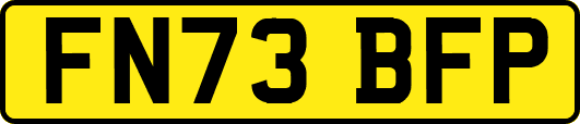FN73BFP