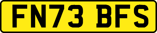 FN73BFS