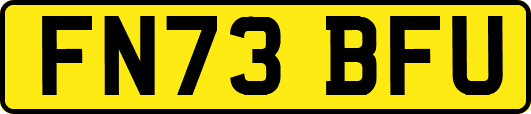 FN73BFU