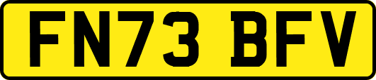 FN73BFV