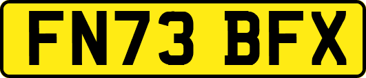 FN73BFX