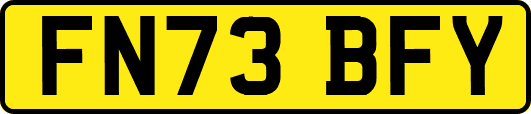 FN73BFY
