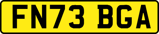 FN73BGA