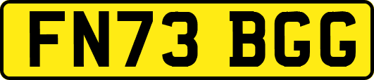 FN73BGG