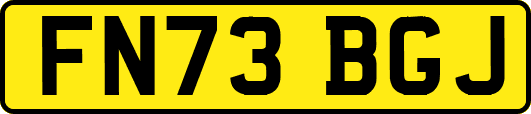 FN73BGJ