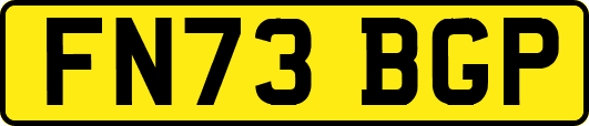 FN73BGP