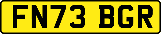 FN73BGR
