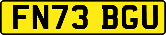 FN73BGU