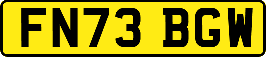 FN73BGW