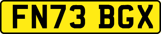FN73BGX