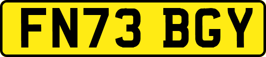 FN73BGY