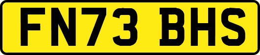 FN73BHS