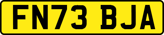FN73BJA