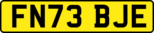 FN73BJE
