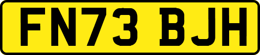 FN73BJH