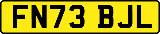 FN73BJL
